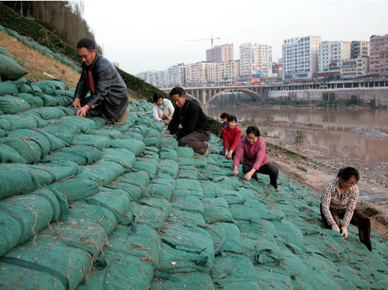 重庆生态袋河道绿化