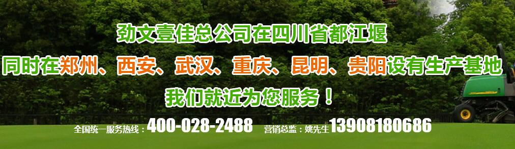 成都植草格铺设 成都植草格铺设